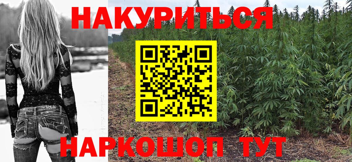 Канабис MAZAR Малоярославец